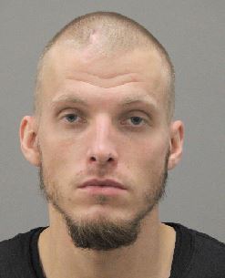Brian Davis, wanted for Possession of a Stolen Title/Plate