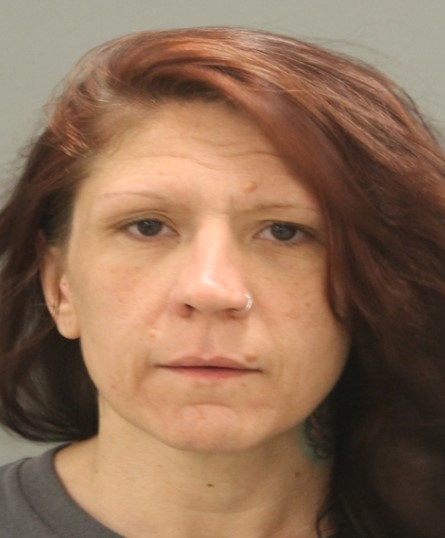 Booking photo of Tamara Wisnasky